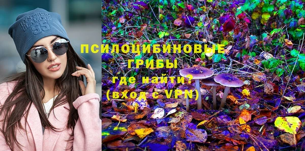 МДПВ Навашино