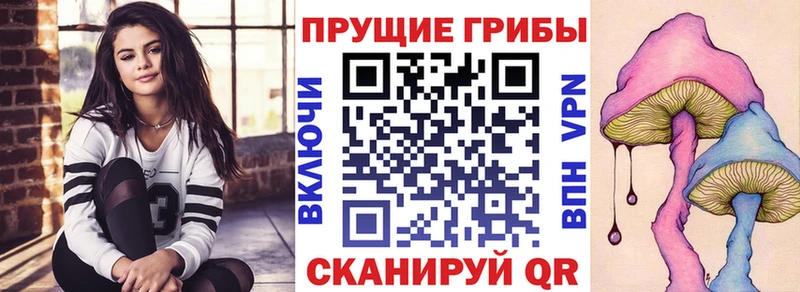 Галлюциногенные грибы Psilocybine cubensis  купить наркоту  Тара 