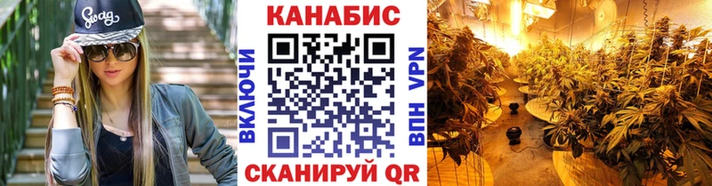 мега ТОР  Тара  МАРИХУАНА OG Kush  дарнет шоп 